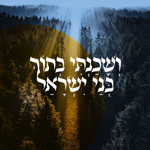 ספר הזוהר שכינה קדושה