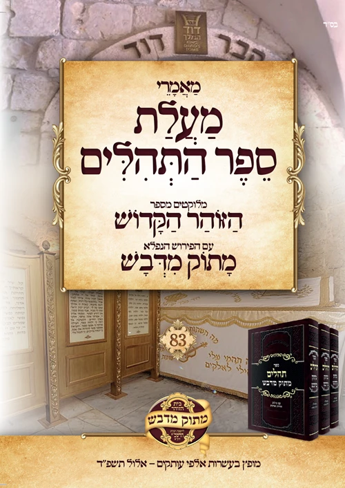 תיקון השכינה דרך דוד המלך